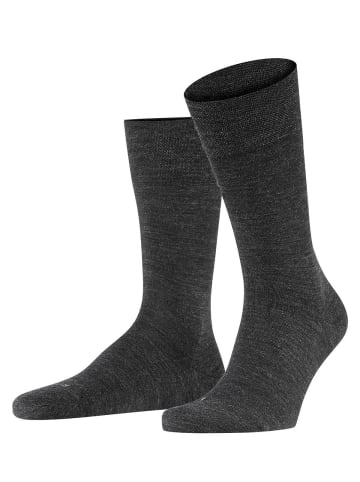 Falke Socken 1er Pack in Anthrazit