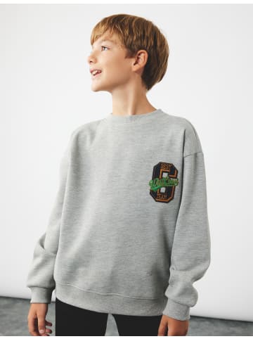 KOTON SWEATSHIRTS in Grau