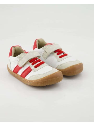 KOEL Barfußschuhe in Weiß