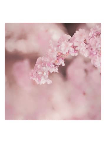 WALLART Leinwandbild - Kirschblüte im Violetten Licht in Braun