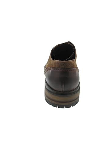 LLOYD HADRIAN Business Schuh Braun