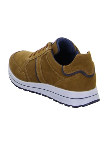ara Sportliche Schnürschuhe in Braun