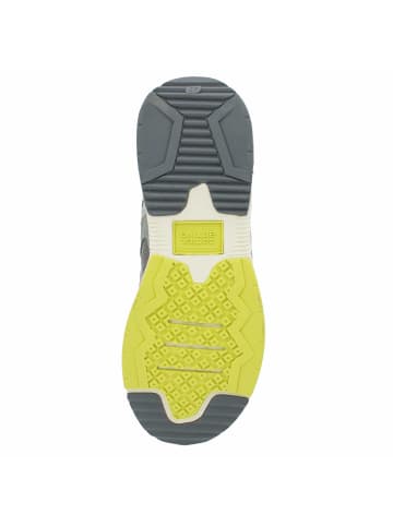 Camel Active Sneaker Low in grau