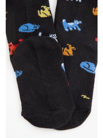 Coccodrillo Socken in bunt