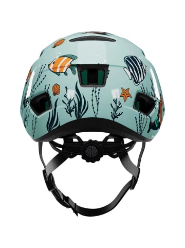 BASIL Pnut KinetiCore 2.0