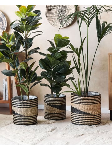 Beliani 3-tlg Indoor Blumentopf RATTAIL in Naturfarben/Schwarz/Beige