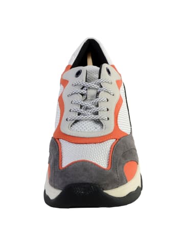 Geox Sneakers D Kirya B- Suede+Mesh Grau