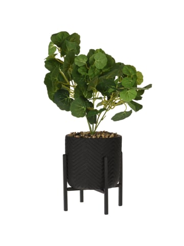 Home&Styling Collection Kunstpflanze in schwarz