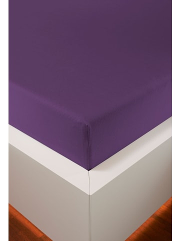bellana jersey Spannbetttuch Edel-Jersey  Elasthan in violett