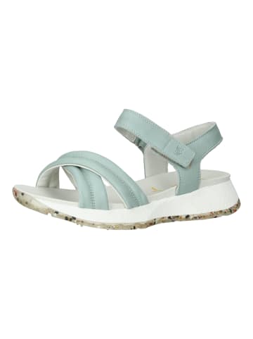 SALAMANDER Sandalen in Mint