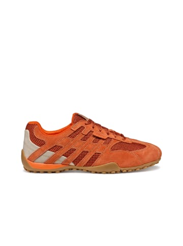 Geox Sneaker in orange