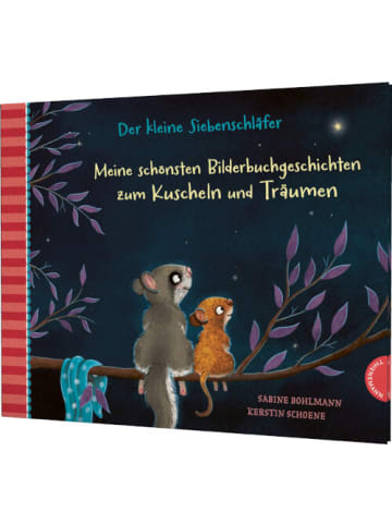 THIENEMANN Bilderbuch Der kleine Siebenschläfer Geschichten zum Kuscheln und Träumen 3-7J