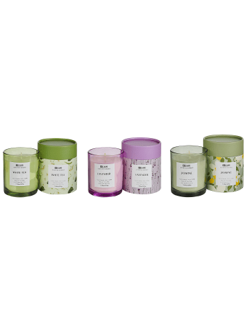 Beliani 3er-Set Kerze COLORFUL BARREL in Grün/Violett
