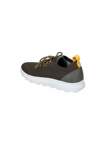 Geox Lowtop-Sneaker in olive