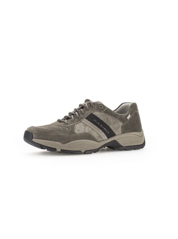 Pius Gabor Sneaker low in grau