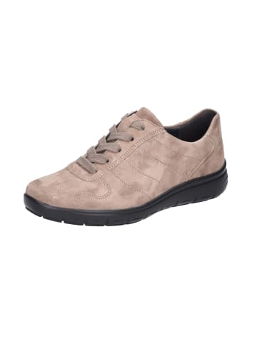 Semler Schnürschuhe Greta in taupe