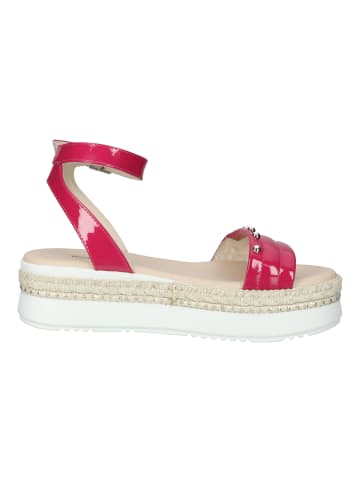 Nero Giardini Sandalen in Fuchsia