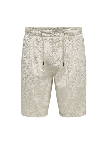 Only&Sons Short in Silver Lining