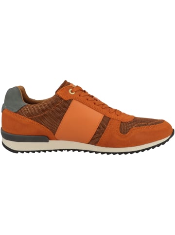 Pantofola D'Oro Sneaker low Rizza N Uomo Low in orange