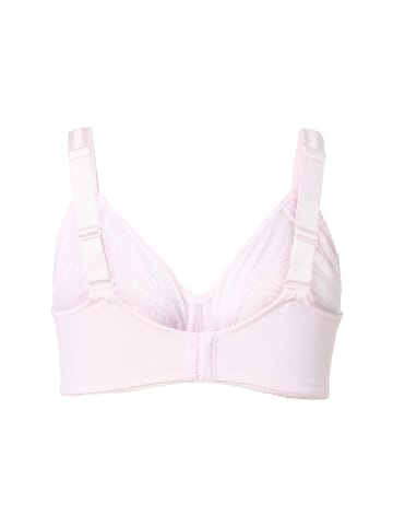 Ulla Popken BH in rosa