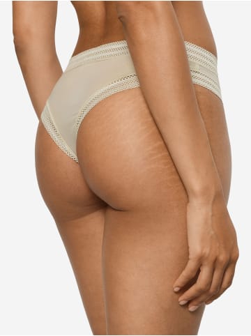 Hanro Panty Orea in olive stem