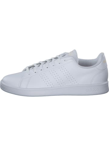 adidas Schnürschuhe in white/blior