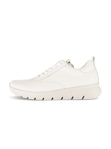 Gabor Sneaker low in creme
