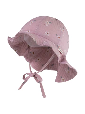 Sterntaler Sonnenhut Gänseblümchen in rosa