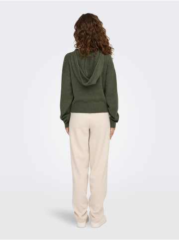 JACQUELINE de YONG Strickpullover Weich Kapuze Langarm Tiefe Schultern in Grün