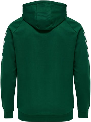 Hummel Hummel Cotton Kapuzenpullover Hmlgo Multisport Herren in EVERGREEN