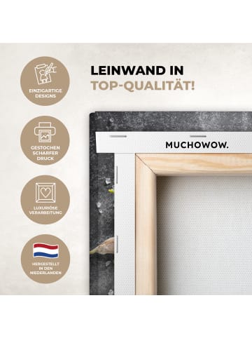 MuchoWow Leinwand bilder Gewürze (BxH)