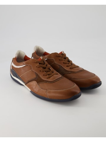 LLOYD Sneaker low in Braun