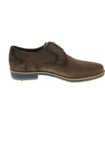 LLOYD DRIFT 110 Businessschuh Braun