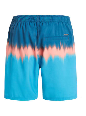 Protest M PRTCAGNES BEACHSHORT in Blau