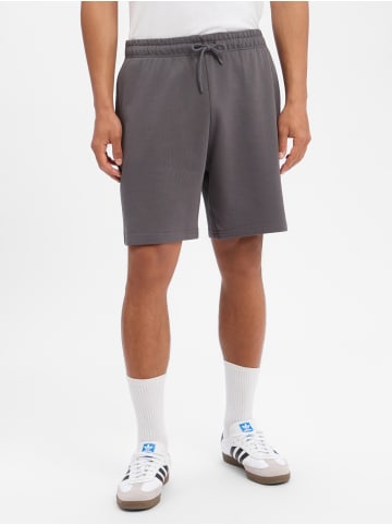 The North Face Sweatshorts in anthrazit