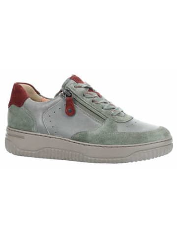 Hartjes Schnürschuh in grün