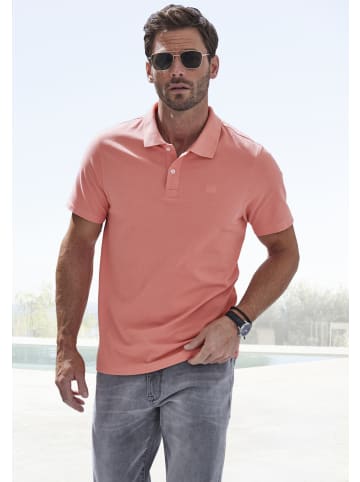 John Devin Poloshirt in apricot