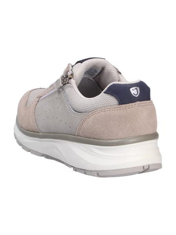 Joya Schnürschuh DYNAMO ZIP W BEIGE in beige