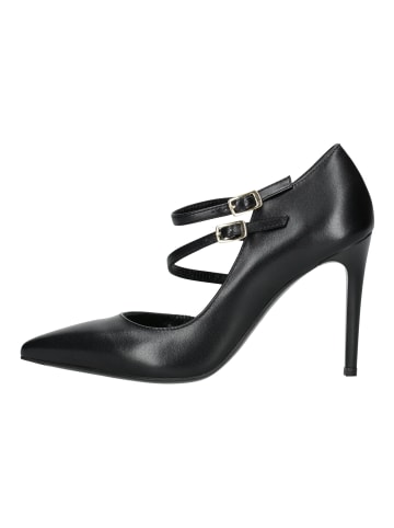 Nero Giardini Pumps in Schwarz