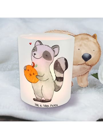 Mr. & Mrs. Panda Windlicht Waschbär Kürbis ohne Spruch in Transparent