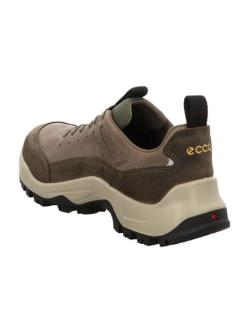 Ecco Wander- & Bergschuhe in Grün