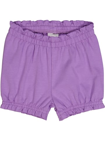 Fred´s World by GREEN COTTON Babyshorts in lavender