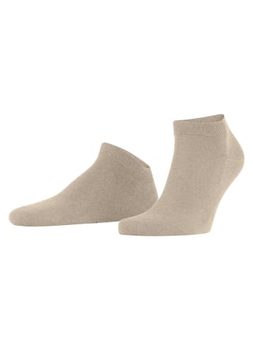 Falke Socken 1er Pack in Sand