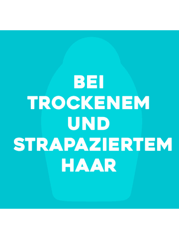 OGX Shampoo "Arga Oil Of Morocco" 6er-Pack (6x 385 ml)