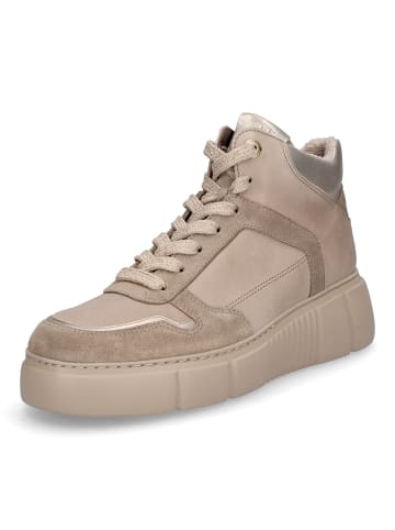 Paul Green High-Top Sneaker in Beige