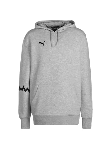 Puma Hoodie Hoops Team in hellgrau / schwarz