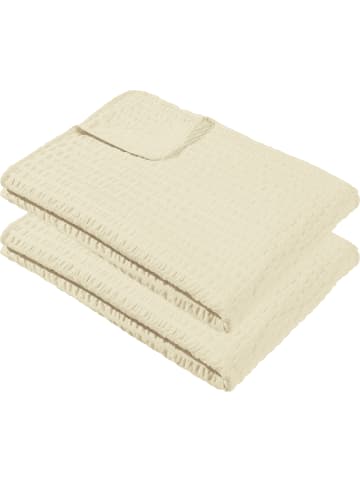 REDBEST Microfaser Sommerdecke 2er-Pack Detroit in creme