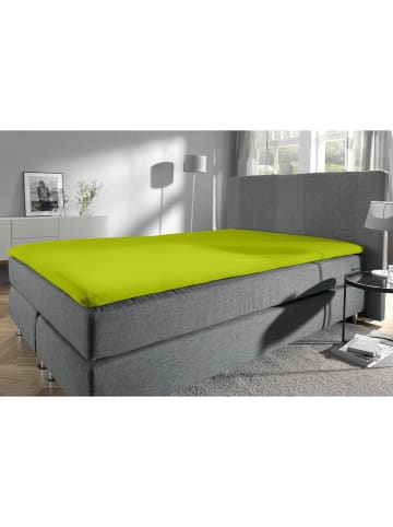 Erwin Müller Single-Jersey Topper-Spannbettlaken Freising in apfelgrün