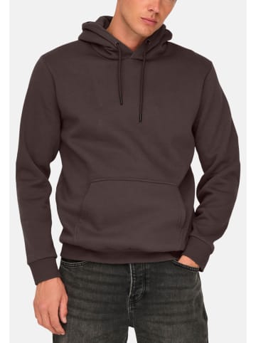 ONLY & SONS Sweatshirt / Hoodie Ceres in Braun / creme