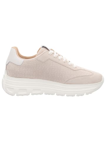 Tamaris Sneaker Low in beige